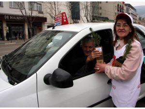 Kadına Şiddete Dikkat Çekmek İçin Fidan Dağıttılar