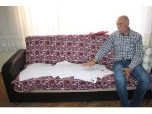 (Özel Haber) Ankaralı Ailenin 15 Yıllık Su Çilesi