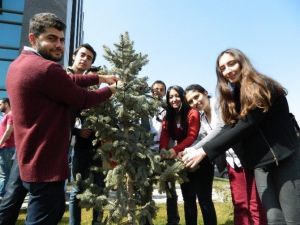 Öğrenciler ‘Kadına Şiddete Dur De’ Sloganıyla Fidan Dikti