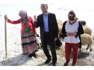 Dört Çocuğuna Hem Annelik Hem Babalık Yapıyor