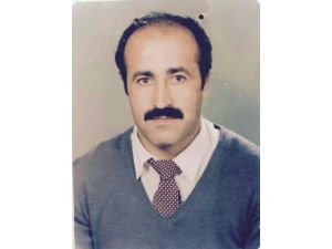 Ambulans Şoförü Ağacın Altında Kalıp Öldü