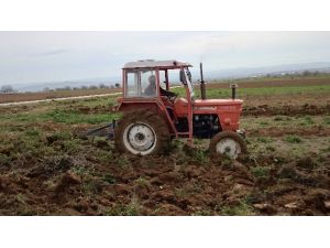 Ayçiçeği Ekimi Başlıyor