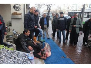 (Özel Haber) Balıkçı Yattı, Vatandaş Baktı