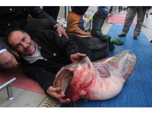 Balıkçı Yattı, Vatandaş Baktı