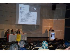 Üniversitedeki ’Şiddet’ Anketinin Ürküten Sonucu !
