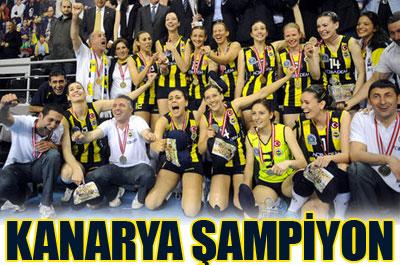 Kanarya şampiyon 
