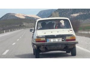 Sarıkız’ın Otomobil Keyfi