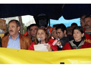 Mersin Nkp: “Santrallerin Kurbanı Olmak İstemiyoruz”