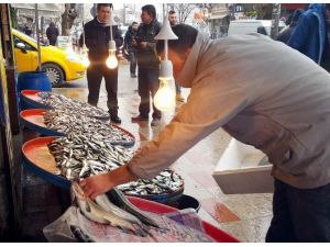 Hamsinin Fiyatı Normale Döndü