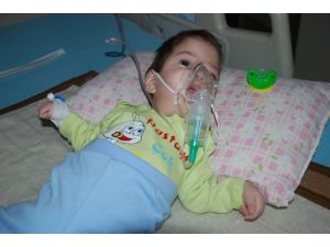 Bu Bebek Kaderine Terk Edildi