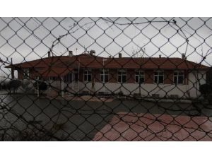 Bakanlık ’Cinsel Taciz’le İlgili Harekete Geçti