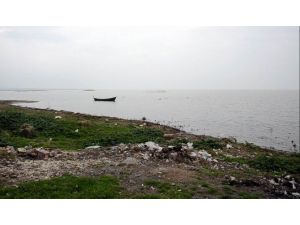 Kuluçka Dönemindeki Pelikanlar, Köy Yakınlarında Avlanıyor