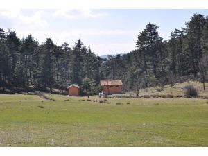 (Özel Haber) 5 Büyüklerin Gözdesi Görecik Yaylası Olacak