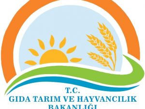 Bakanlık’tan ’Şap Hastalığı’ Açıklaması