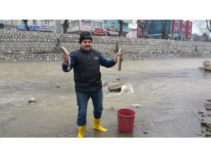 Kenti İkiye Bölen Derede Korkutan Görüntü