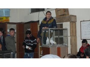 Kahvehanede Güvercin Mezadı