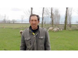 Simav’da 18 Bin 500 Dekarlık Ekili Alan Sular Altında Kaldı