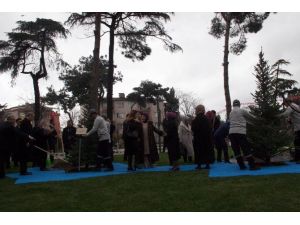 Cumhurbaşkanı Erdoğan, Fidan Dikti