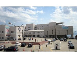 Domuz Gribi Kocaeli’de Bir Can Aldı