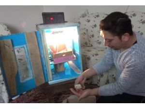 Tavuklarına Kızınca...