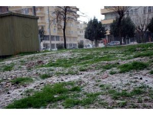 Midyat’ta Yağmur Ve Dolu Hayatı Olumsuz Etkiledi