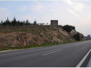 Cumhurbaşkanı Erdoğan Adına Hatıra Ormanı