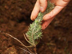 Anaokulu Öğrencilerinden Örnek Davranış