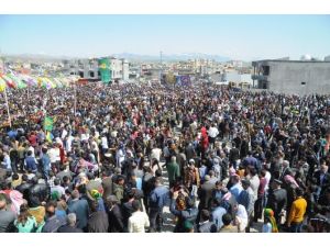 Cizre’de Coşkulu Nevruz Kutlaması
