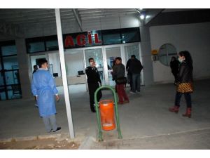 Aydın’da Domuz Gribi Paniği