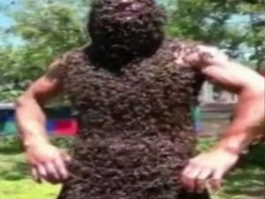 Cesaret Mi Budalalık Mı ?