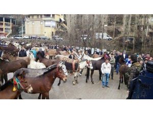 Uludereliler Katırlarla Kaymakamlığa Yürüdü