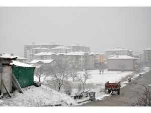 Erken Tomurcuklanan Kayısı Ağaçları Kardan Olumsuz Etkilendi