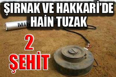 Şırnak ve Hakkaride 2 şehit 
