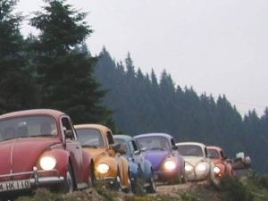 Vosvos Şenliği Yeniden Başlıyor