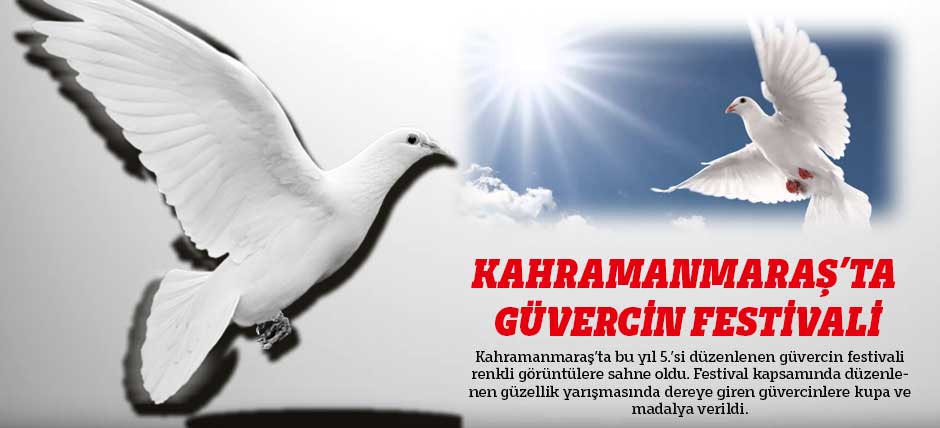 Kahramanmaraş’ta Güvercin Festivali