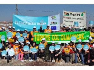 Dünyaya Barış Ve Kardeşlik Ormanı