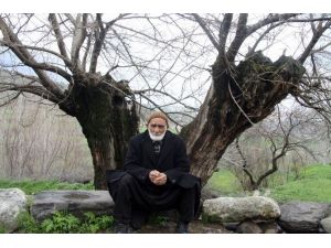 (Özel Haber) Asırlık Ağaçlar İlgi Bekliyor