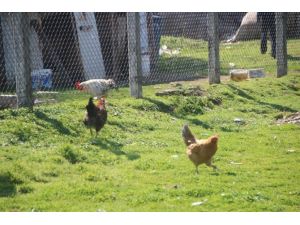 Amatör Maçta İlginç Enstantaneler