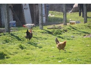 Bu Kareler Bir Futbol Maçından