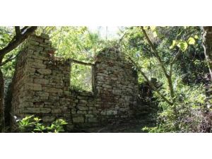 Arjantin’de Nazi Sığınakları Bulundu