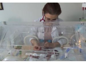 500 Gram Doğan Parmak Bebek, Yaşama Tutundu