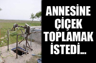 Annesine çiçek toplarken öldü 