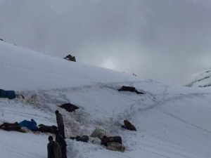Köylülerden Katır Protestosu