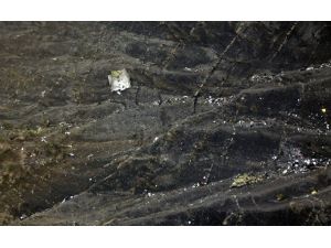 Germanwings Uçağının Enkaz Çalışmaları Devam Ediyor