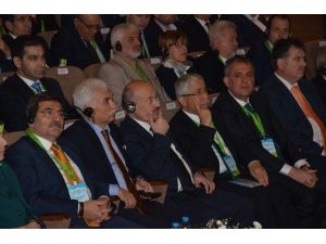 Uluslararası Safranbolu İklim Değişikliği Konferansı
