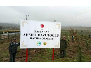 Başbakan’a Memleketinde ’Hatıra Ormanı’ Jesti