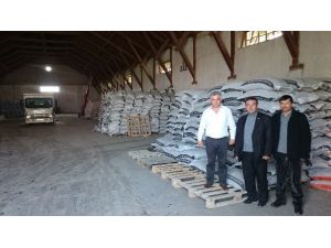 Yağlı Tohumlar Kooperatifi 2 Bin Ton Ayçiçeği Alacak