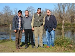 Kuş Fotoğrafçıları Longozda Kamp Kuracak