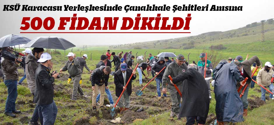 Ksü Karacasu Yerleşkesinde Çanakkale Şehitleri Anısına 500 Fidan Dikildi