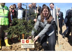 Bayan Vali, Cumhurbaşkanı Ve Eşi İçin Fidan Dikti
